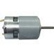 FOX EXPERT Motor for Cordless Trimmer RQ755-DC21V, 12-21 V, 300 W, 13,500 rpm, M5 Right-Hand Thread Shaft (1 pc), Gray, FOX